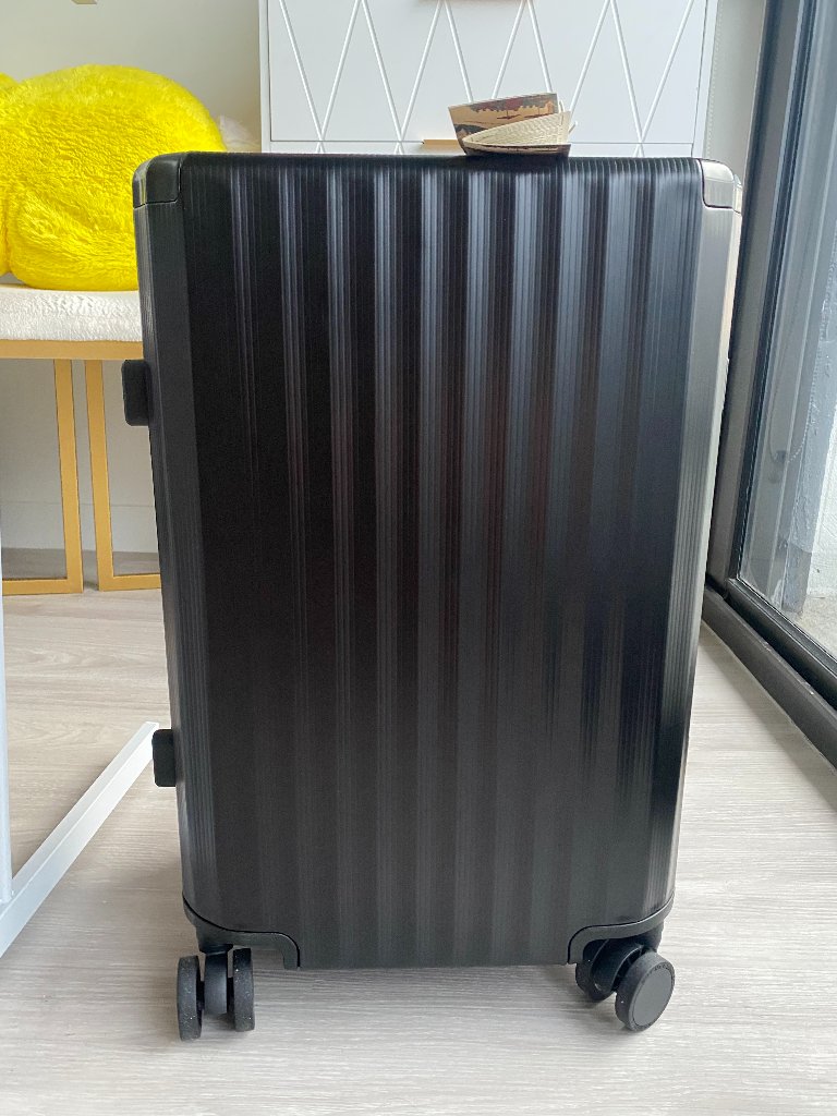Viral Zara Suitcase